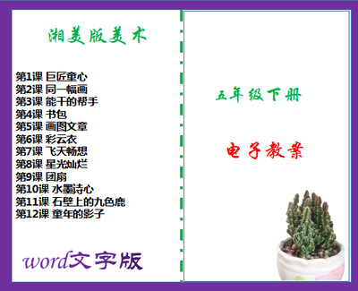 湘美版小学五年级下册美术同步教案