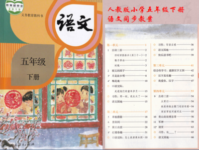 部编人教版小学五年级下册语文同步教案